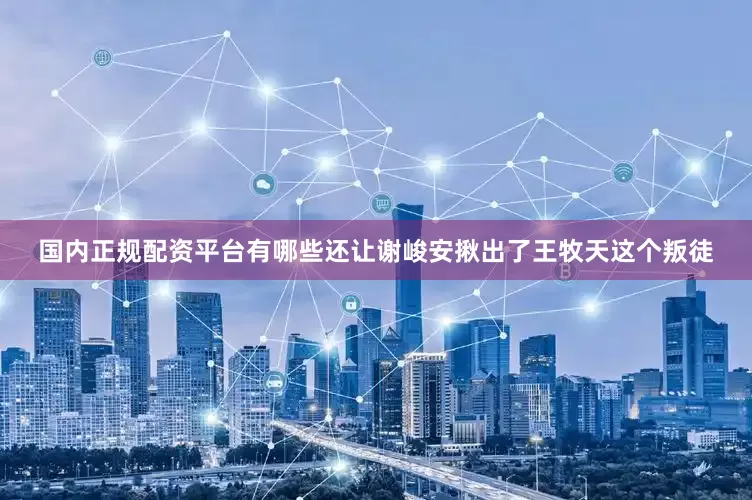 国内正规配资平台有哪些还让谢峻安揪出了王牧天这个叛徒
