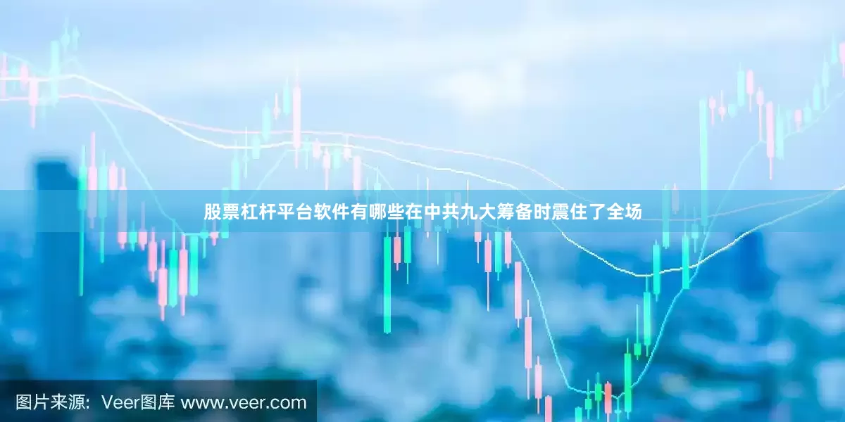 股票杠杆平台软件有哪些在中共九大筹备时震住了全场