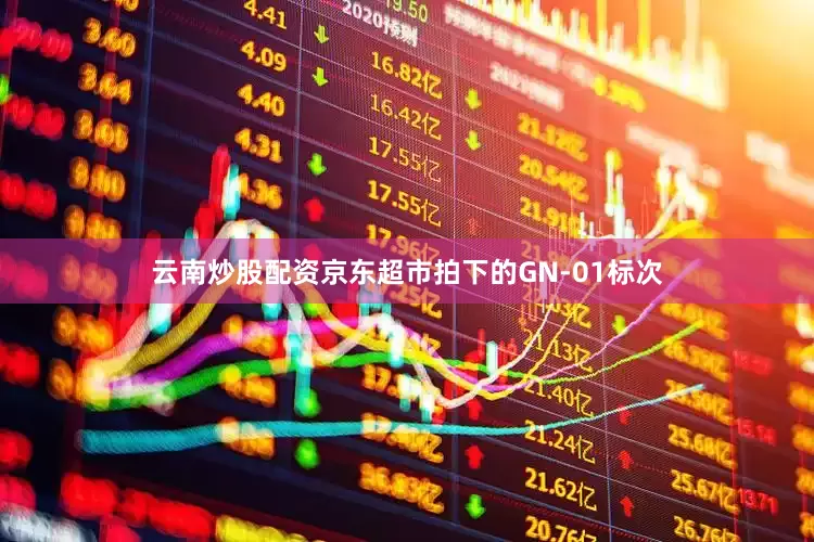 云南炒股配资京东超市拍下的GN-01标次