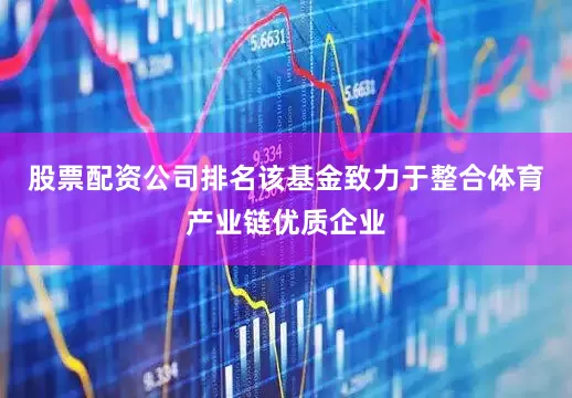 股票配资公司排名该基金致力于整合体育产业链优质企业